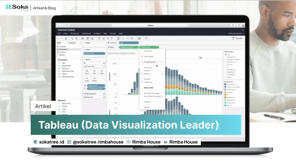Tableau (Data Visualization Leader)