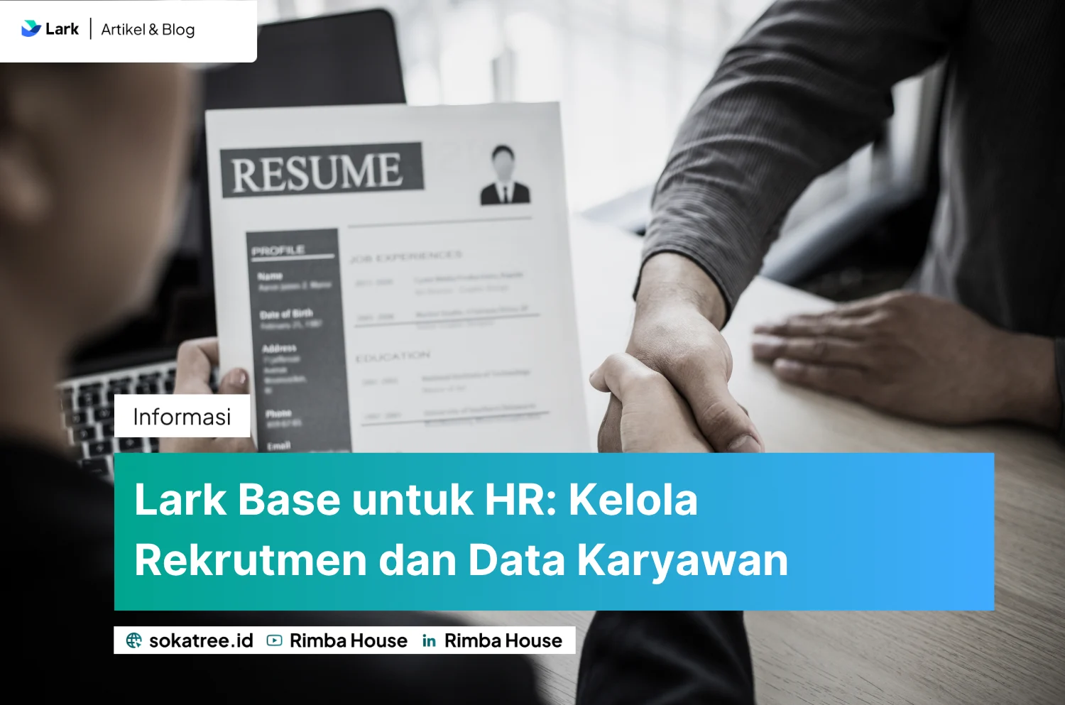 Lark Base untuk HR: Kelola Rekrutmen dan Data Karyawan
